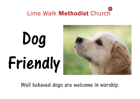 We are a dog friendly church, well behaved dogs are welcome in worship.